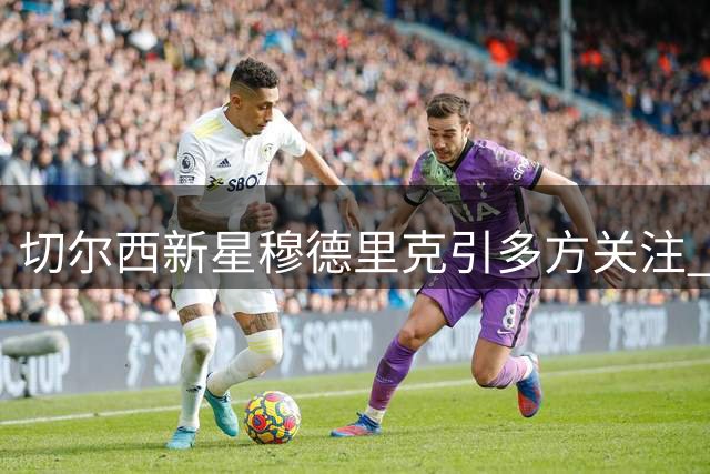 切尔西新星穆德里克引多方关注 8月中旬前或定去向