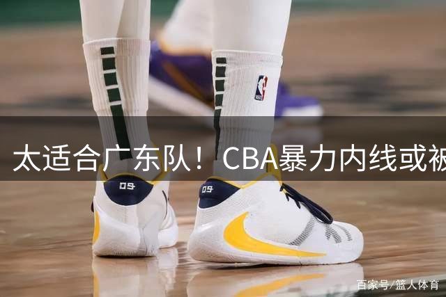 太适合广东队！CBA暴力内线或被哄抢，这可是“加强版萨林杰”？