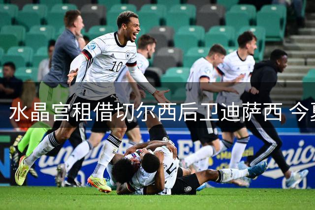 水晶宫租借切尔西后卫迪萨西 今夏第六名新援到位