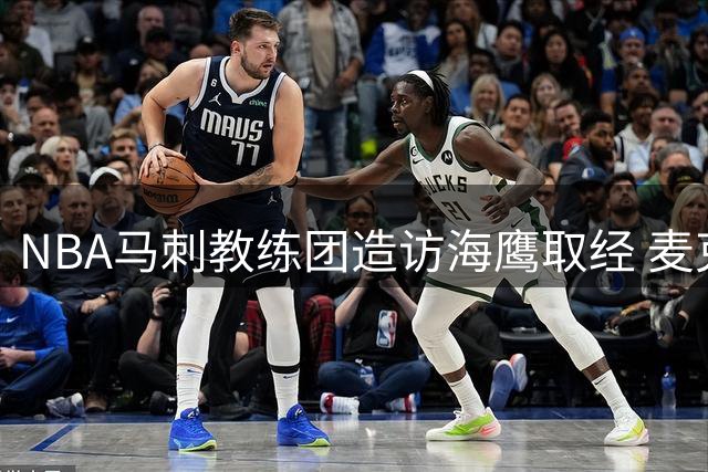 NBA马刺教练团造访海鹰取经 麦克唐纳自嘲篮球门外汉